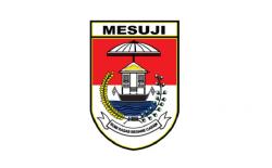 Cerita Rakyat di Lampung, Asal-Usul Kota Mesuji