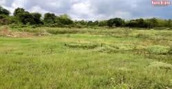 Ditemukan Bekas Lautan di Atas Gunung, Aneh Ada Fosil Kerang Berubah Jadi Batu