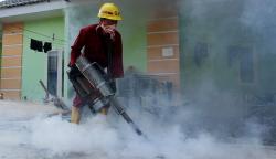 Fogging Cegah Penyebaran Nyambuk Aedes Aegypti Penyebab DBD