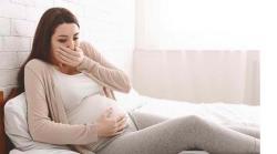 7 Makanan Mampu Mengatasi Mual saat Hamil, Nomor 4 Segar dan Nikmat Dikonsumsi Dingin