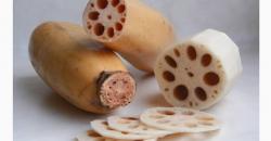 Mengenal Akar Teratai, Enak Dijadikan Masakan dan Sehat untuk Kulit serta Diet