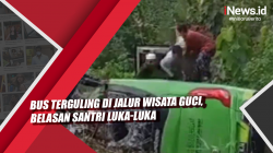 Video Bus Terguling di Jalur Wisata Guci, Belasan Santri Luka-Luka