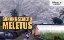Infografis Fakta-fakta Gunung Semeru Meletus