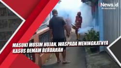 Video Masuki Musim Hujan, Waspada Meningkatnya Kasus Demam Berdarah