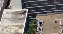 Viral Spiderman di Kehidupan Nyata, Pria Ini Terekam Kamera Lompat Antargedung 