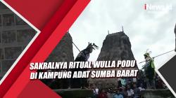 Mengintip Sakralnya Ritual Wulla Podu di Kampung Adat Sumba Barat