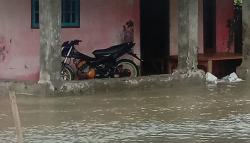    Banjir Rob Terjang Ratusan Rumah di Karawang, 3 Dusun Terisolasi<