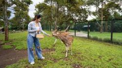 Liburan Seru di KEK MNC Lido City: Belum Puas? Nginap Aja di Lido Lake Resort