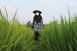 Nasabah Tenang dan Tidak Khawatir, Simpanannya Dijamin oleh LPS