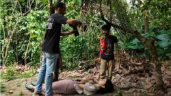 Didukung PEN Film Kemenparekraf, Komunitas Daerah Siap Bangkit dengan Nuansa Lokal