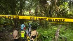 Terungkap, Kerangka dalam Kebun Sawit di Dharmasraya Ternyata Perempuan yang Hilang