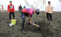 Cegah Abrasi, Ganjar dan Pramuka Tanam Ribuan Pohon di Pantai Tirang