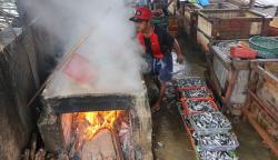 Melihat Pembuatan Ikan Asin di Permukiman Nelayan Muara Angke