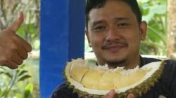 Mencicipi Durian Bhineka Bawor Khas Banyumas, Beratnya Bisa 15 Kilogram 