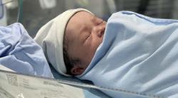 Potret Ganteng Bayi Sule dengan Nathalie Holscher, Netizen: Bibit Unggul Nih 