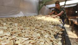 Realisasi Penyaluran KUR UMKM Capai Rp262,95 Triliun