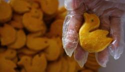 Mengunjungi Toko Kue Tertua di Malang, Berdiri Sejak Tahun 1930