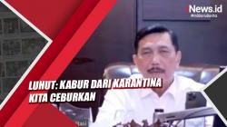Luhut: Kabur dari Karantina Kita Ceburkan