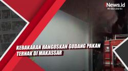 Video Kebakaran Hanguskan Gudang Pakan Ternak di Makassar