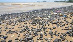Penampakan Pantai Sekembu Jepara Tercemar Tumpukan Batu Bara
