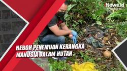 Heboh Penemuan Kerangka Manusia dalam Hutan di Pontianak