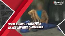 Siksa Kucing, Perempuan Gangguan Jiwa Diamankan ke Mapolsek Tanjung Duren