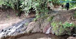 Viral, Sumber Mata Air Ini Keluar dari Akar Pohon, Dipercaya Bisa Sembuhkan Penyakit