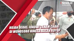 Video Hujan Deras, Jokowi Tanam Cabai di Wonosobo hingga Basah Kuyup