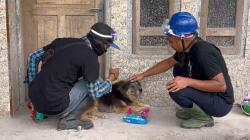 Seperti Hachiko, Anjing Ini Setia Tunggu Tuannya Korban Erupsi Semeru yang Meninggal hingga 12 Hari