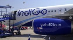 Kejadian Konyol Petugas Bandara Mumbai Tertidur di Bagasi, Kaget saat Bangun Ada di Abu Dhabi