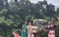  Heboh Batu Mirip Manusia di Sungai Musi, Pemda Koordinasi dengan Balai Cagar Budaya