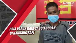 Iming-imingi Jajanan, Pria Paruh Baya Cabuli Bocah di Kandang Sapi