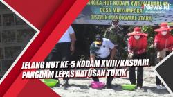 Jelang HUT Ke-5 Kodam XVIII Kasuari, Pangdam Lepas Ratusan Tukik di Desa Minyumfoka