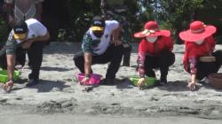 Jelang HUT Ke-5 Kodam XVIII/Kasuari, Pangdam Lepas Ratusan Tukik di Desa Minyumfoka