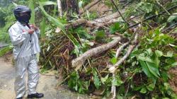 Tanah Longsor di Gunungsitoli, Satu Warga Tewas Tertimbun 