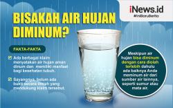 Infografis Amankah Air Hujan Diminum? Begini Penjelasan Pakar Kesehatan