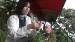 Tanaman Hias di Pasar Bunga Lembang Ini Kaya Manfaat dan Bisa Dimakan