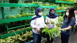 Kelompok Wanita Tani KBA Karina bersama Karyawan Asuransi Astra Membuat Urban Farming