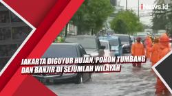 Video Jakarta Diguyur Hujan, Pohon Tumbang dan Banjir di Sejumlah Wilayah