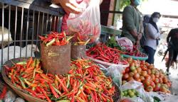 Naik Drastis, Harga Cabai Rawit di Makassar Rp85.000 per Kilogram