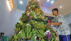 Unik, Pohon Natal dari 100 Tandan Buah Pisang Hasil Kebun Warga Kediri
