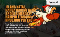 Infografis Harga Daging Ayam Broiler Meroket