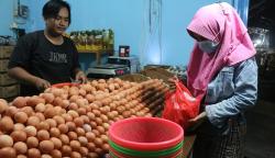 Stok Daging dan Telur di Kaltim Aman hingga Lebaran<