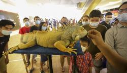 Pameran Reptil di Batam Edukasi Masyarakat untuk Cinta kepada Hewan<