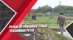 Tetap Bekerja saat Cuaca Ekstrem, Petani di Ponorogo Tewas Tersambar Petir<