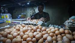 Daftar Harga Kebutuhan Pokok Naik, Telur Ayam Tembus Rp38.000 per Kg<