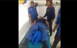7 Petugas Damkar Sampang Madura Disengat Tawon Vespa, 2 Orang Tak Sadarkan Diri