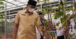 Digitalisasi Pesantren, Sandiaga Uno: Gerakkan Ekonomi Umat, Buka Peluang Usaha dan Lapangan Kerja