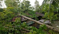 Hujan Es Terjang Pagelaran Cianjur, Rumah Warga Rusak dan Pohon Tumbang<