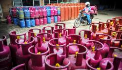 Harga Kedelai hingga LPG Naik, Begini Respons Istana 